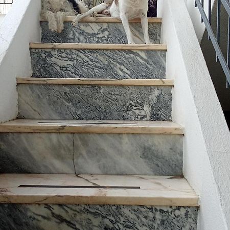 Ztir Apartment Olhao Bagian luar foto