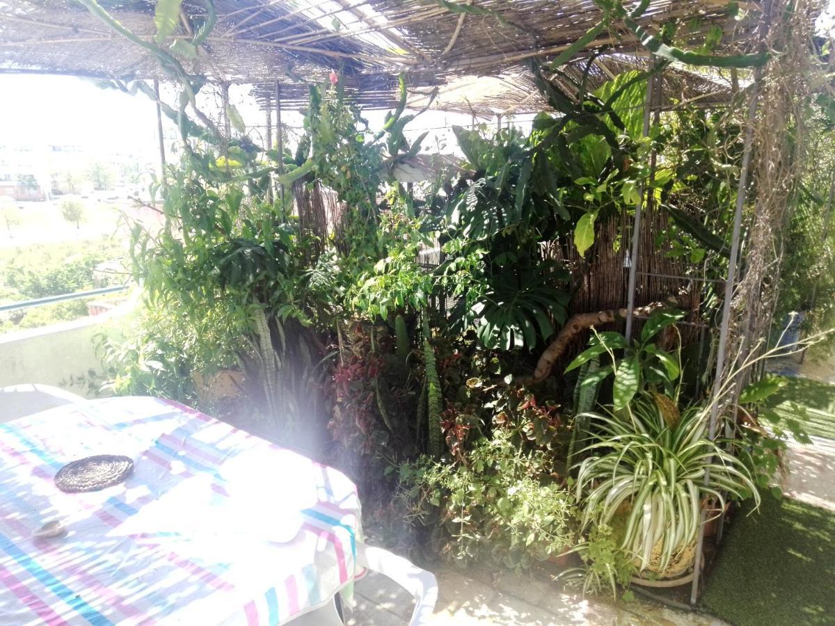 Ztir Apartment Olhao Bagian luar foto