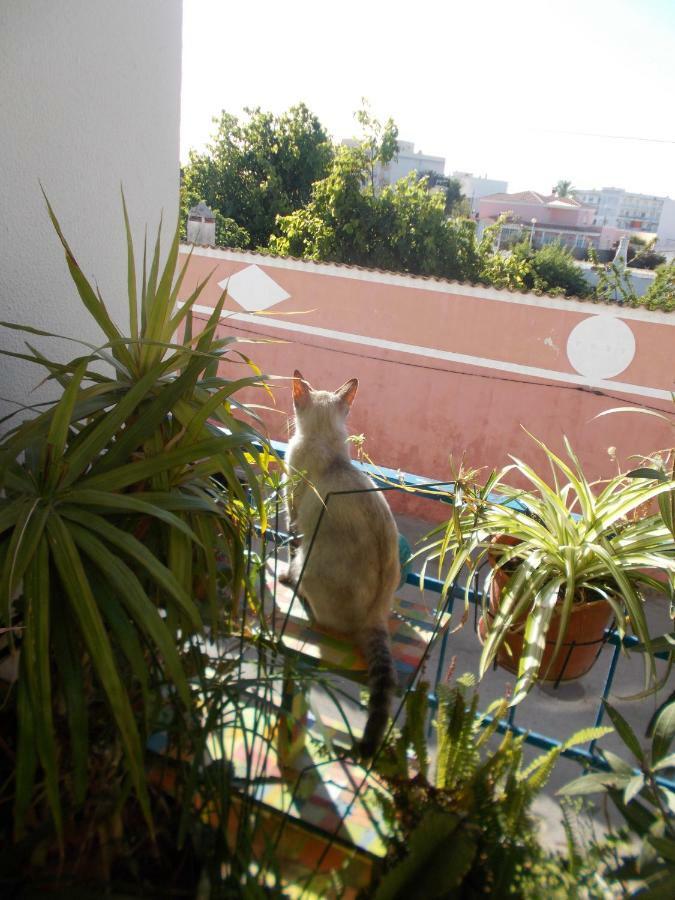 Ztir Apartment Olhao Bagian luar foto