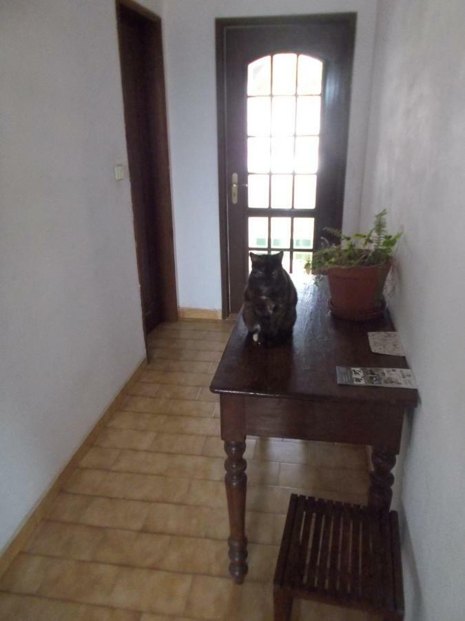 Ztir Apartment Olhao Bagian luar foto