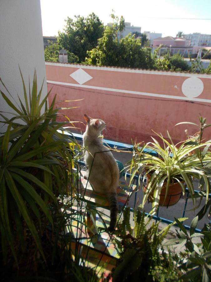 Ztir Apartment Olhao Bagian luar foto