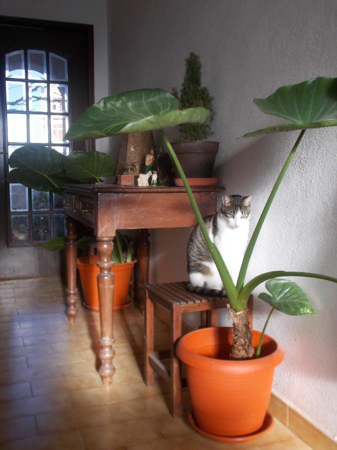 Ztir Apartment Olhao Bagian luar foto